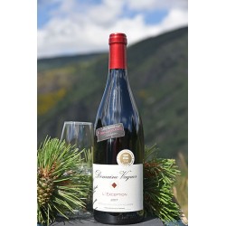 Vin rouge domaine de Vaquer